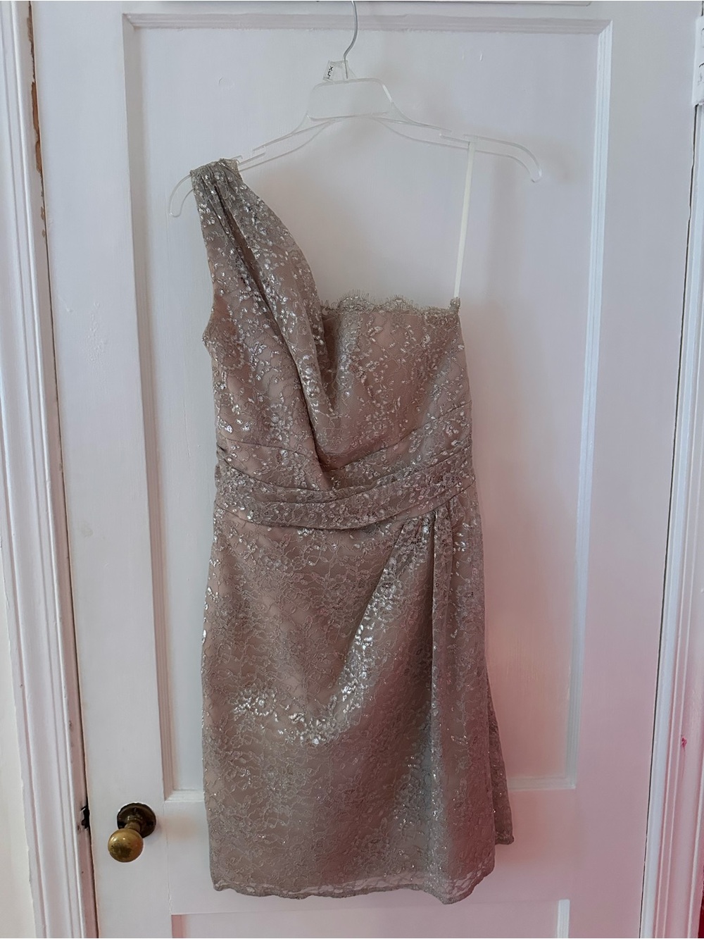 Alvina Valenta One-Shoulder Lace Dress in Taupe Silver